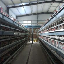 藁城區兵?；\具加工廠 供應產品