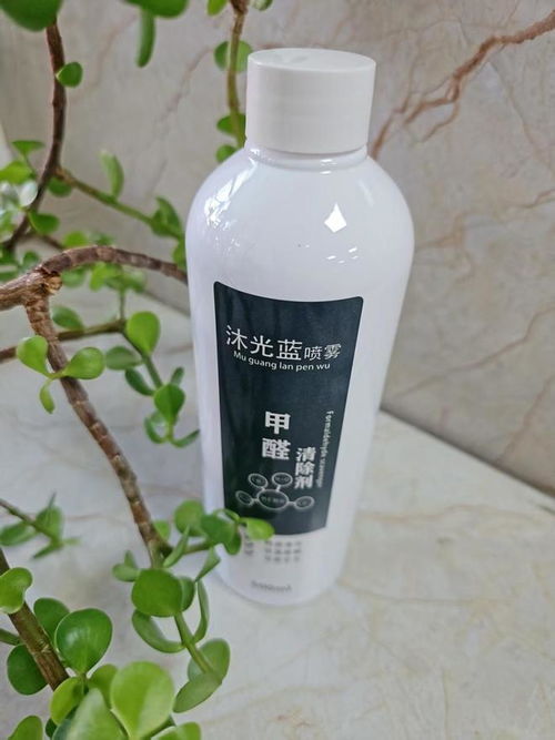 2025年家用除甲醛方法效果大測評 睿容環(huán)保等產品深度解析